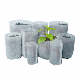 https://api.bestone.bg/uploads/Torbi_za_razsad_54e4a3d7de.png
